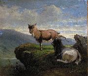 unknow artist Chamois in the mountains France oil painting artist